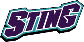 Charlotte Sting 1997-2003 Wordmark Logo iron on transfers for clothing